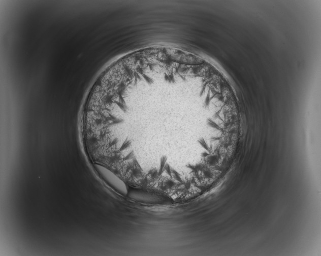 X0000087581048200705251837