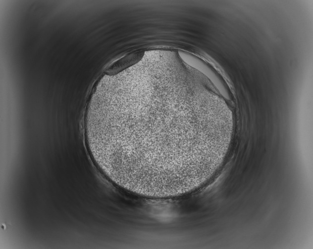 X0000087581049200705251837