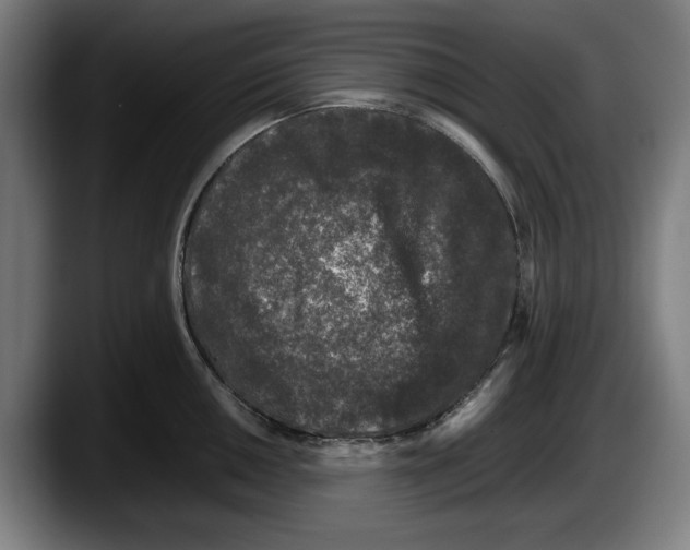 X0000087581050200705251837
