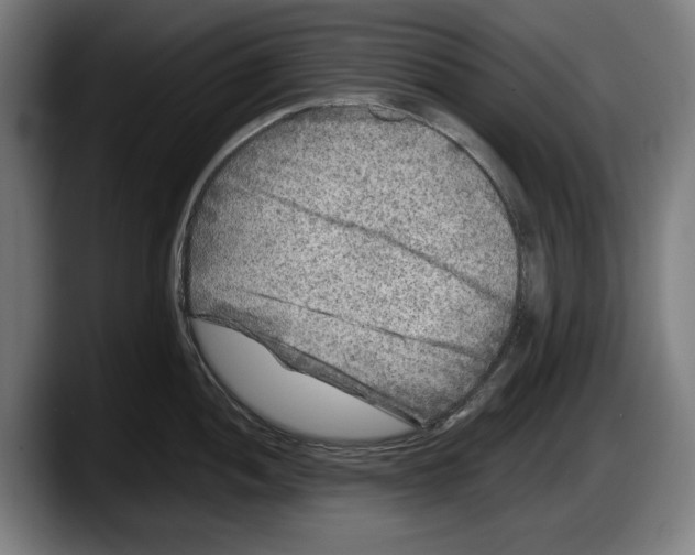X0000087581052200705251837