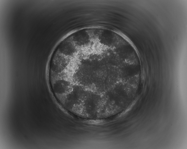 X0000087581053200705251837