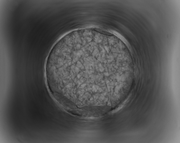 X0000087581055200705251837