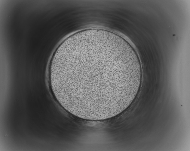 X0000087581056200705251837