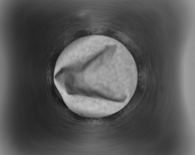 X0000087581058200705251837