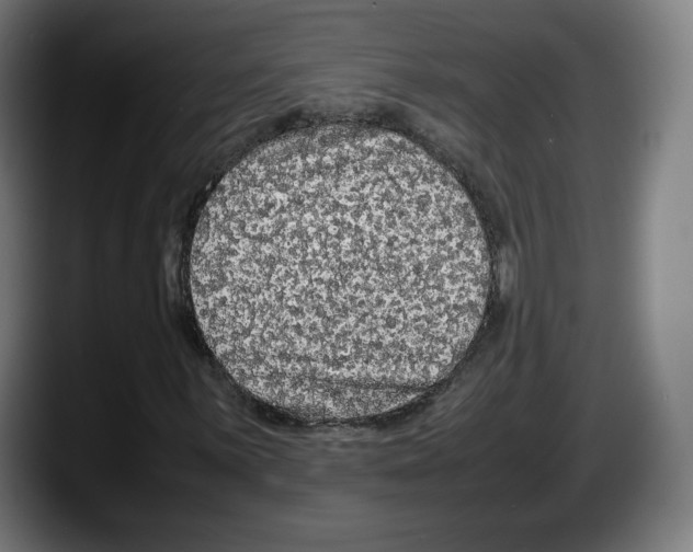 X0000087581059200705251837