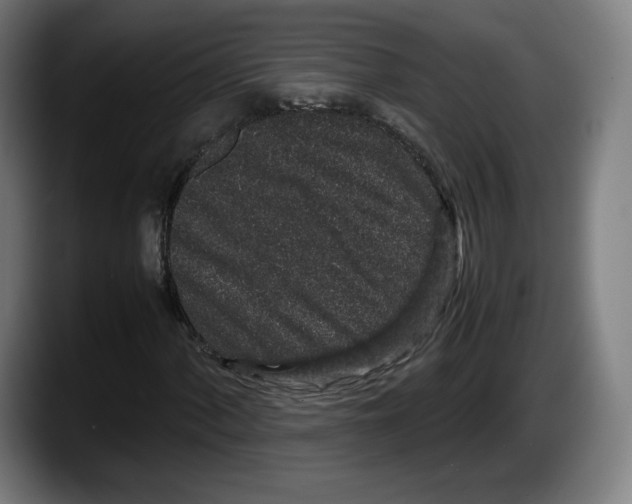 X0000087581060200705251837
