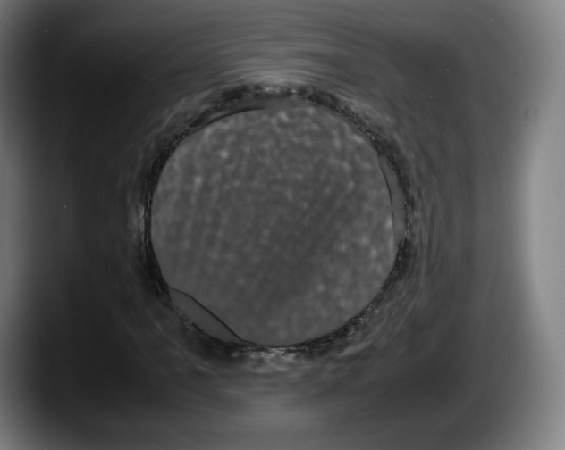 X0000087581061200705251837