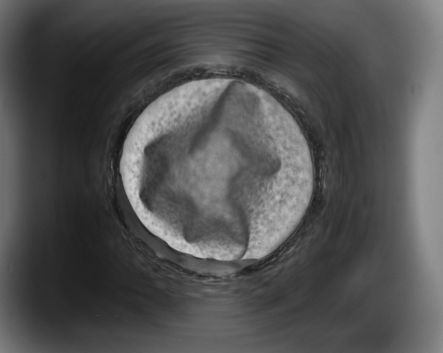 X0000087581062200705251837