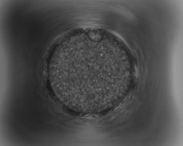 X0000087581063200705251836