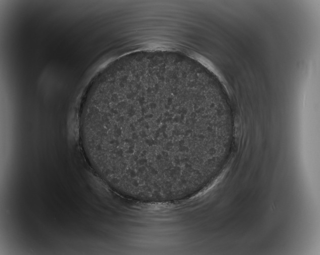 X0000087581067200705251836