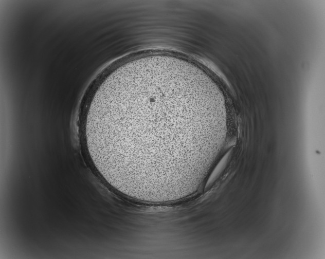 X0000087581068200705251836