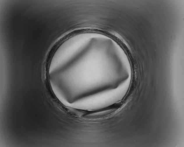 X0000087581069200705251836