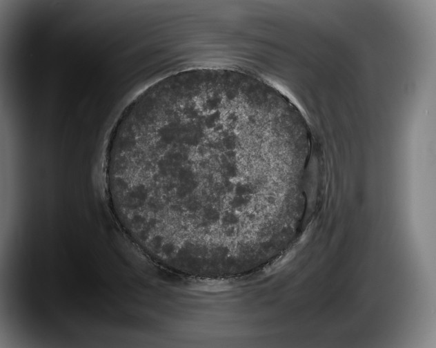 X0000087581071200705251836