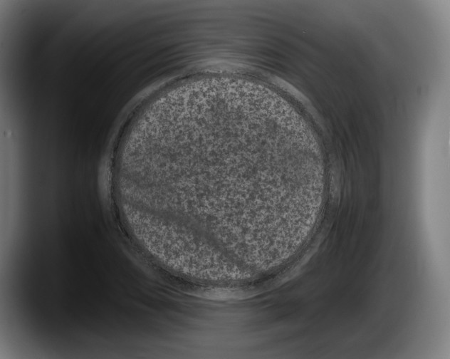 X0000087581074200705251836