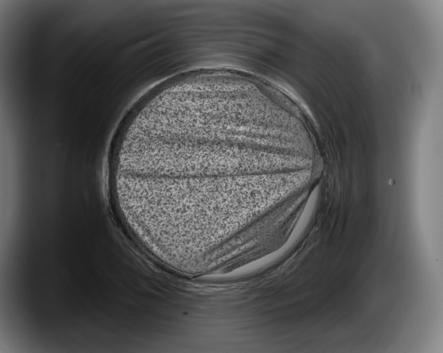 X0000087581076200705251836