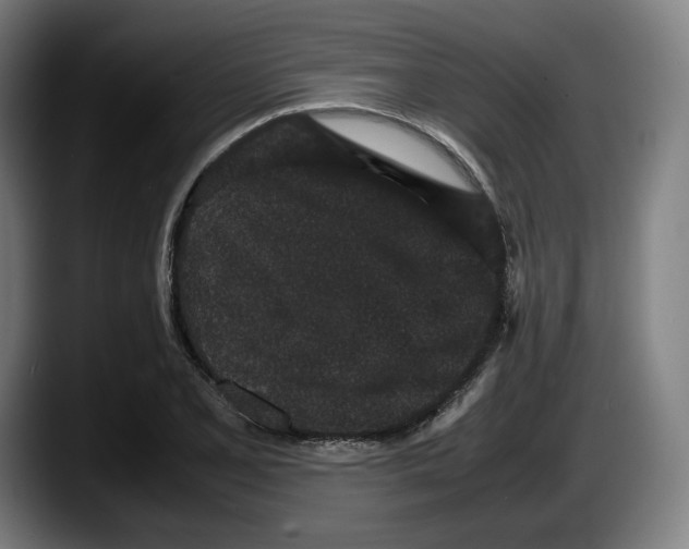 X0000087581077200705251836