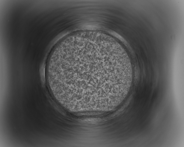 X0000087581078200705251836