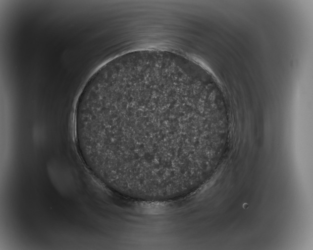 X0000087581079200705251836