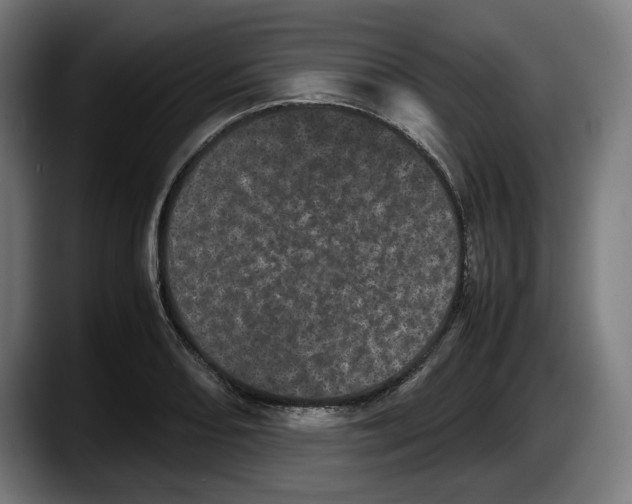 X0000087581082200705251836