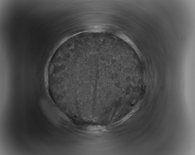 X0000087581083200705251836