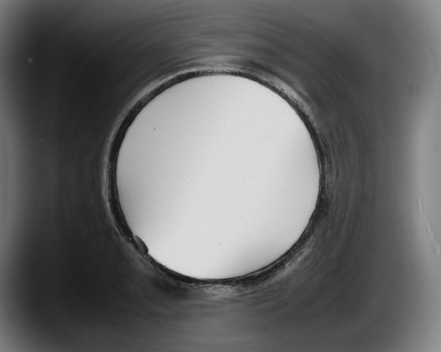 X0000087581085200705251836