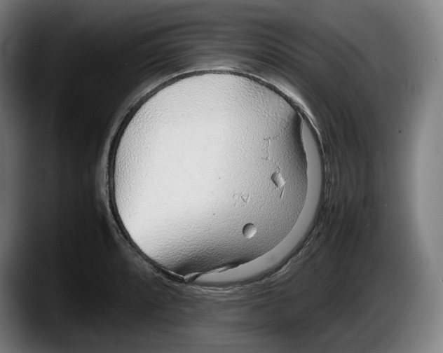 X0000087581088200705251836