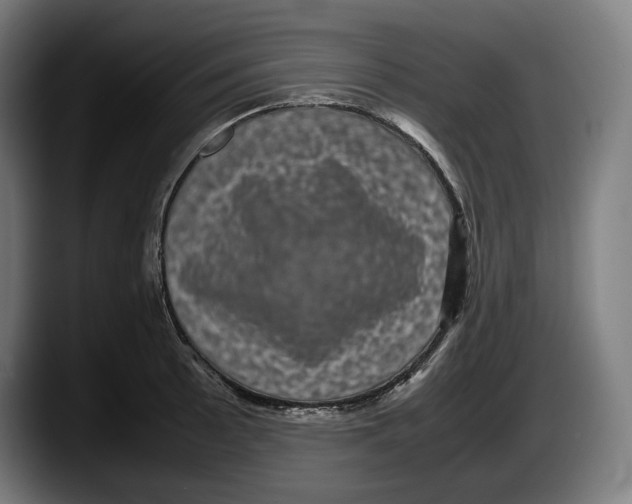X0000087581089200705251836