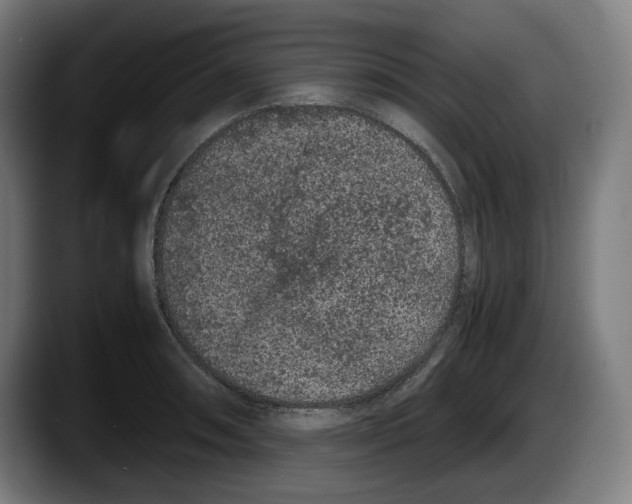 X0000087581090200705251836