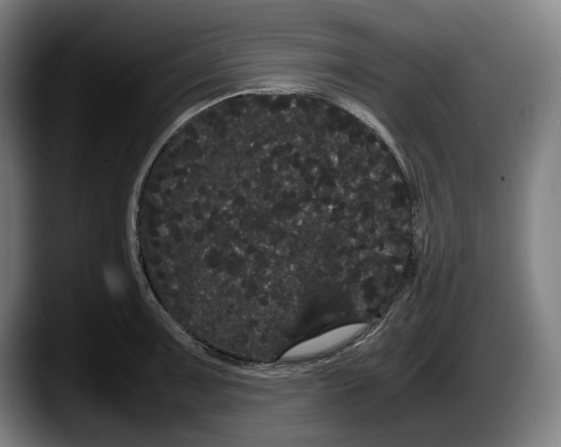 X0000087581091200705251836