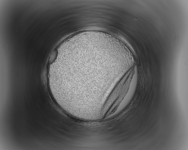 X0000087581092200705251836