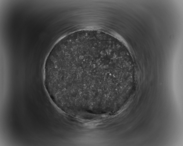 X0000087581095200705251836
