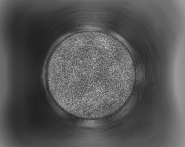 X0000087581098200705251836