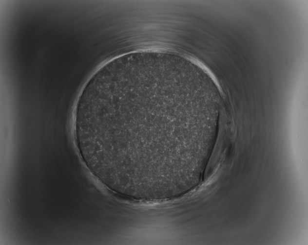 X0000087581099200705251836