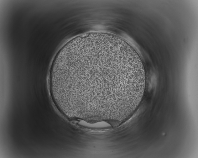 X0000087581100200705251836
