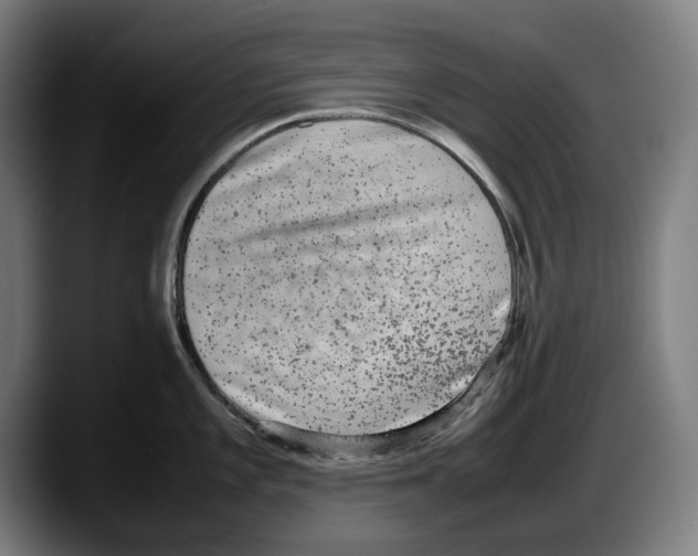 X0000087581101200705251836