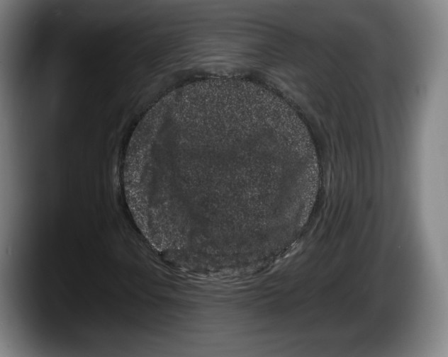 X0000087581106200705251835