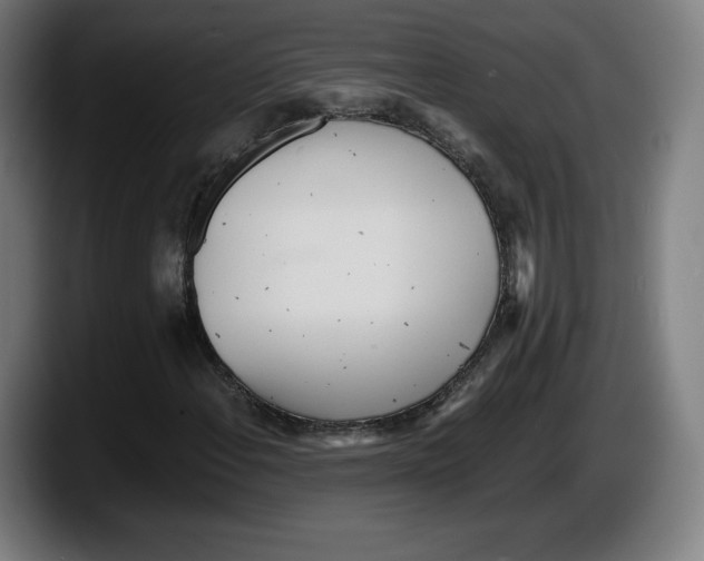X0000087581108200705251835