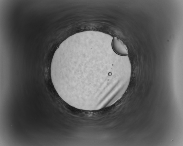 X0000087581109200705251835