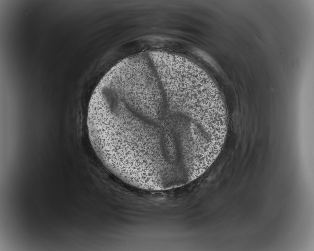 X0000087581111200705251835