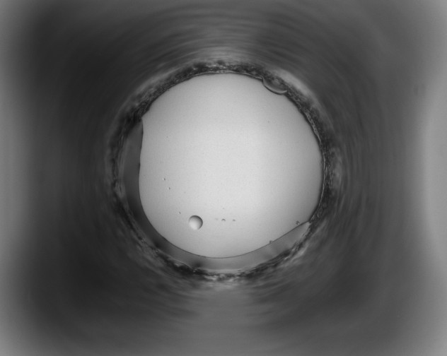 X0000087581112200705251835
