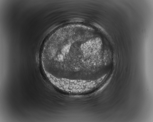 X0000087581113200705251835