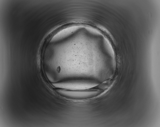 X0000087581114200705251835