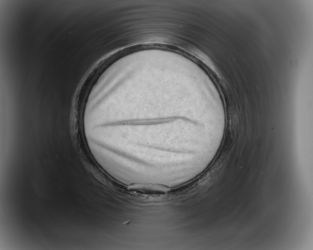 X0000087581116200705251835