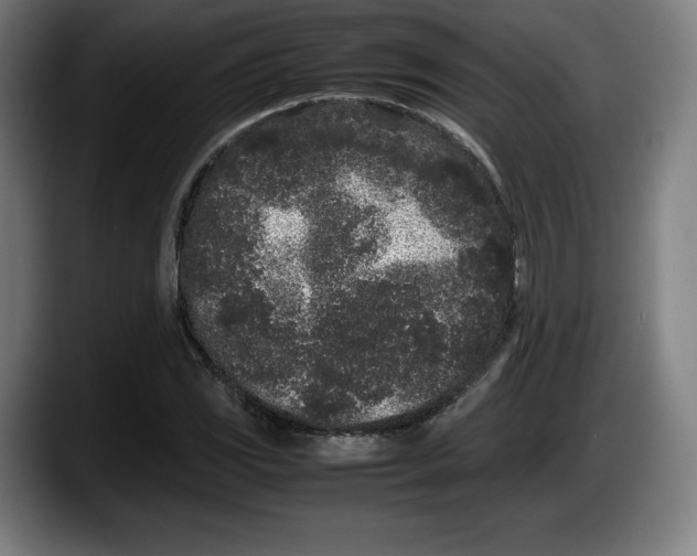 X0000087581117200705251835