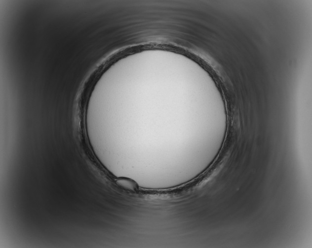 X0000087581118200705251835