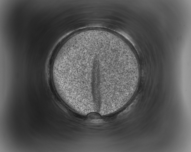 X0000087581119200705251835