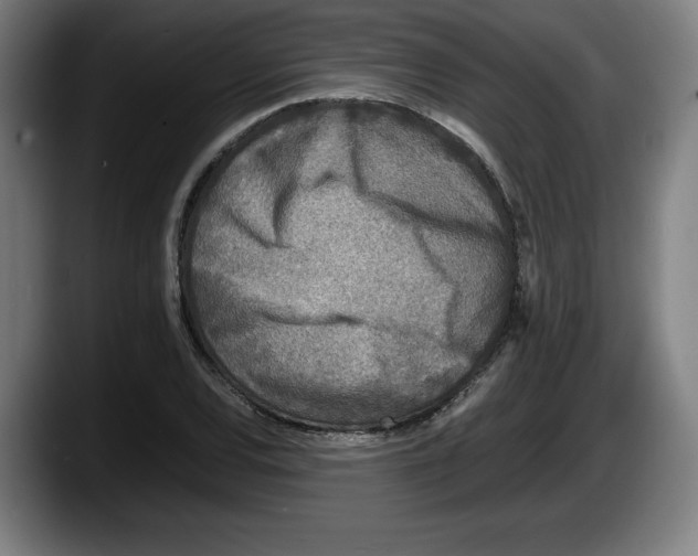 X0000087581120200705251835