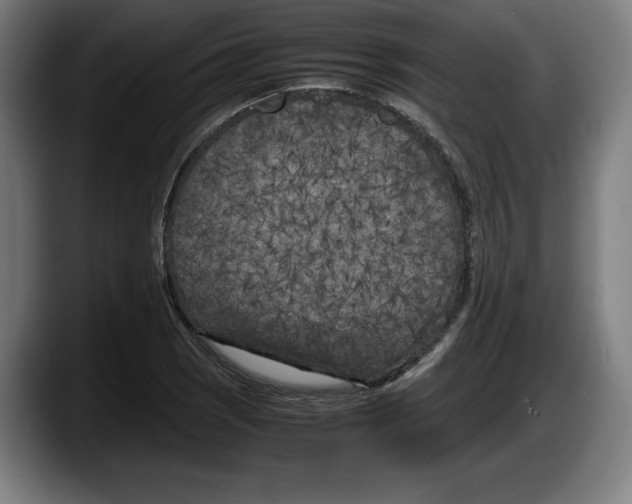 X0000087581121200705251835
