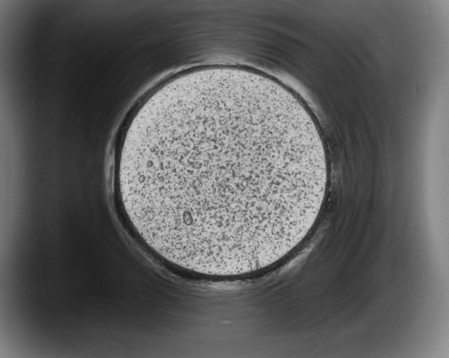 X0000087581126200705251835