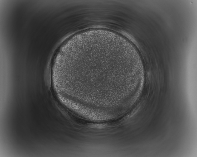 X0000087581127200705251835